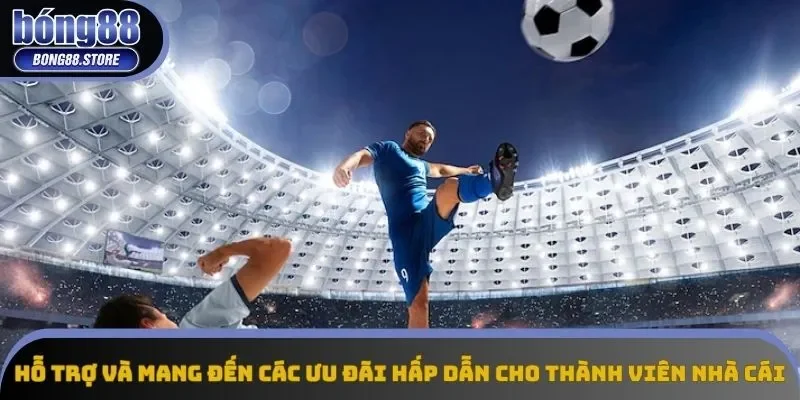 Hỗ trợ và mang đến các ưu đãi hấp dẫn cho thành viên nhà cái